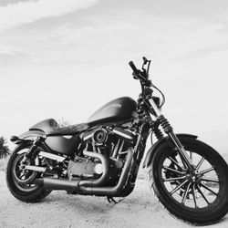 2013 Harley Davidson Motorcycle 