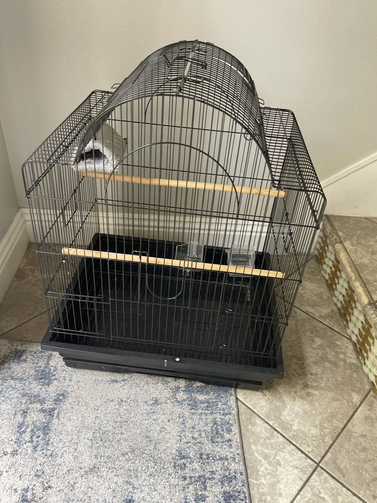 Bird Cage