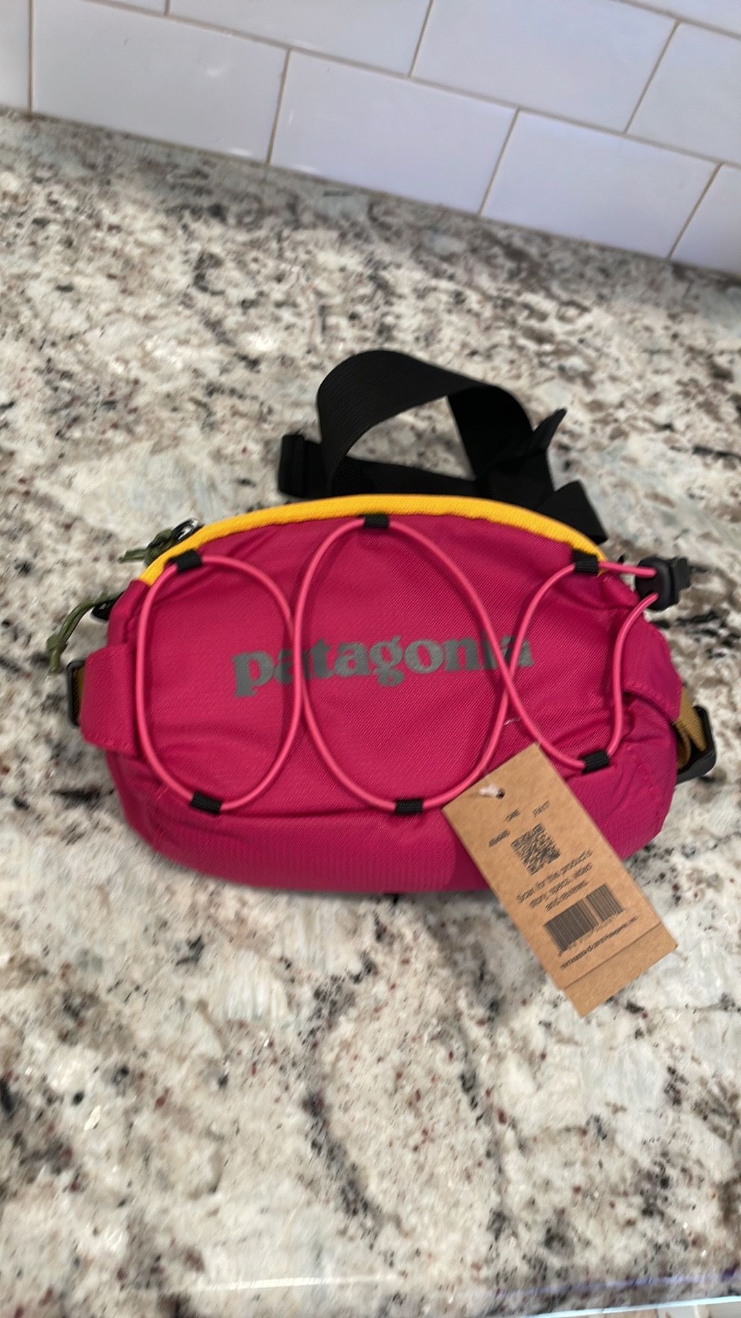 Patagonia Fanny Pack