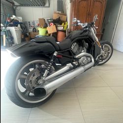 2009 Harley Davidson  V Rod Muscle 