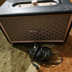 Tewell Computer Speaker HD 24w Vintage Wireless Speaker ( if you are reading this it’s available)