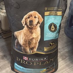 Golden Retriever Food