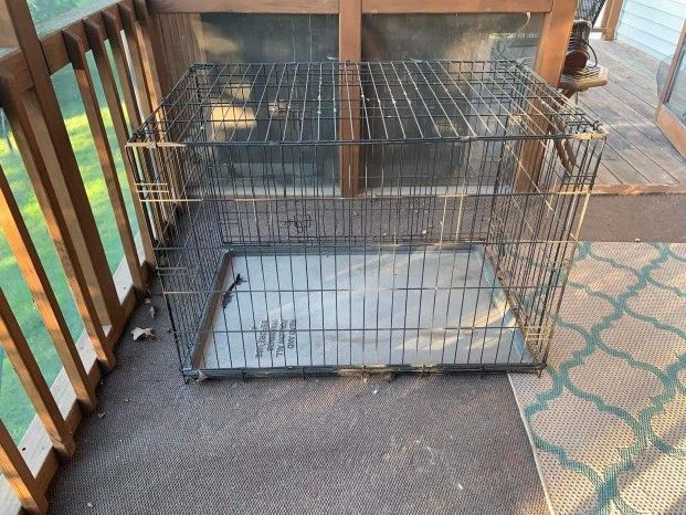 Lg Dog Cage