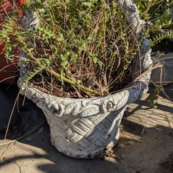 Elegant 22" Concrete Garden Planter with Ornate Handles – Outdoor Decor

