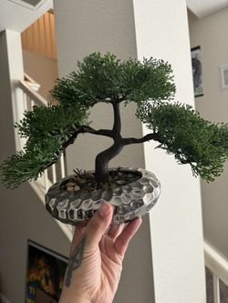Fake Bonsai