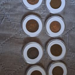 8 INDIAN HEAD PENNIES 