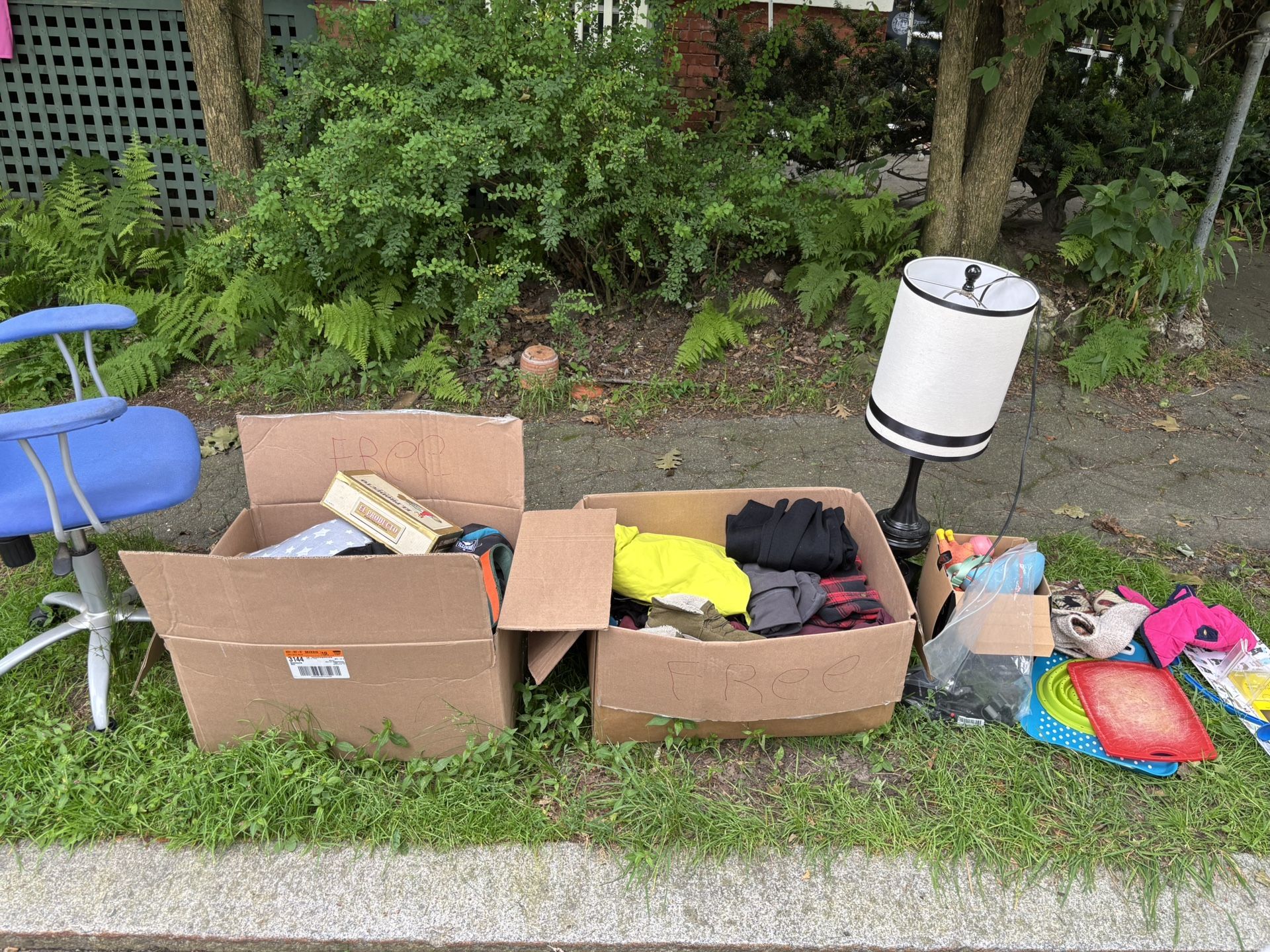 Free On Curb Saturday 6/28 Only