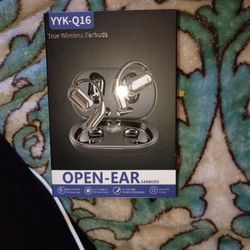 Wireless Translator Ear Buds