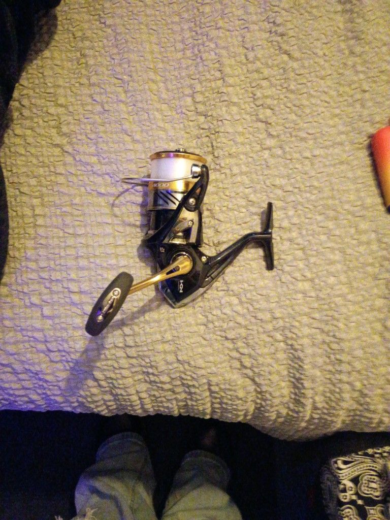Shimano Fishing Reel