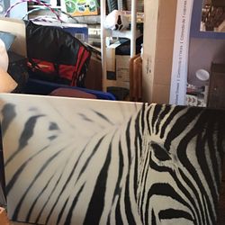 Large picture of Zebra; 46.5 by 30.75 inches