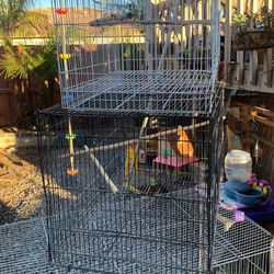 Cages For Little Birds In Good Condition Different Prices  $10, $20 And $30