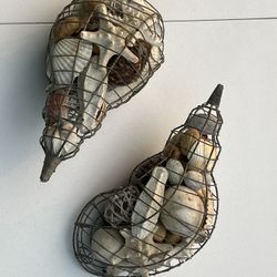 Sea Shells 