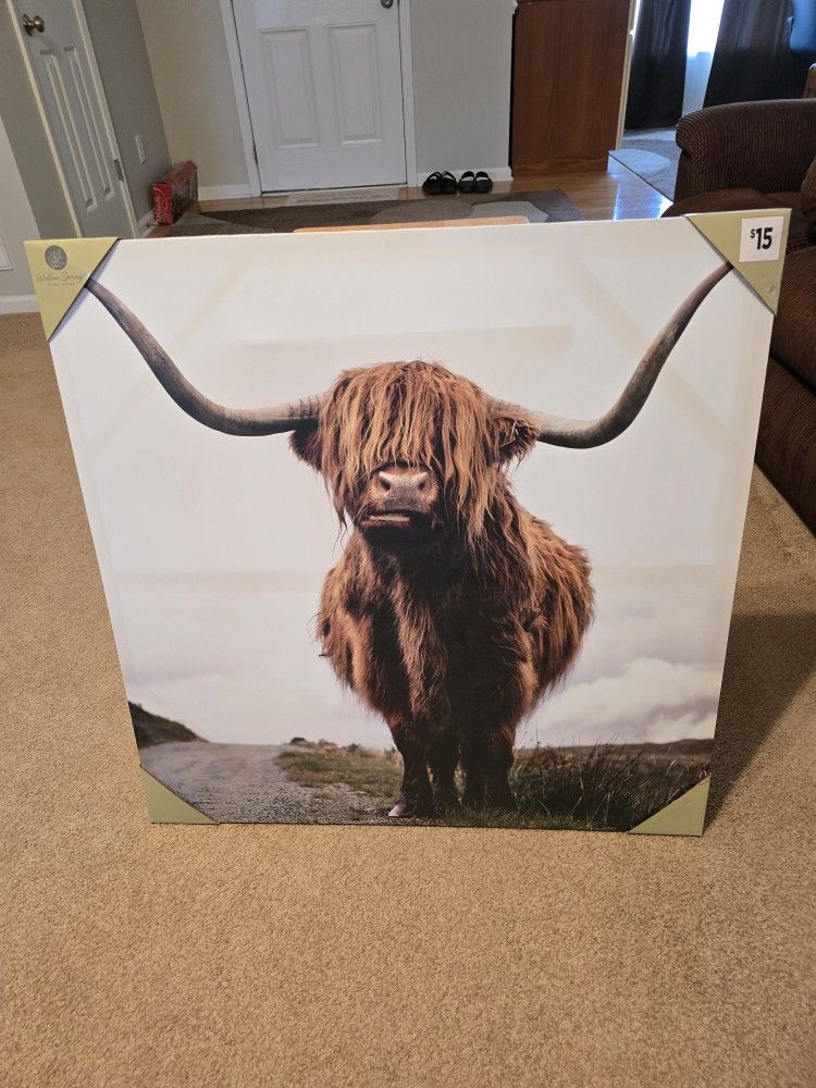 Highland Cow Wall Art