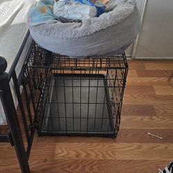 Dog Kettle And Bed For Small Dog 