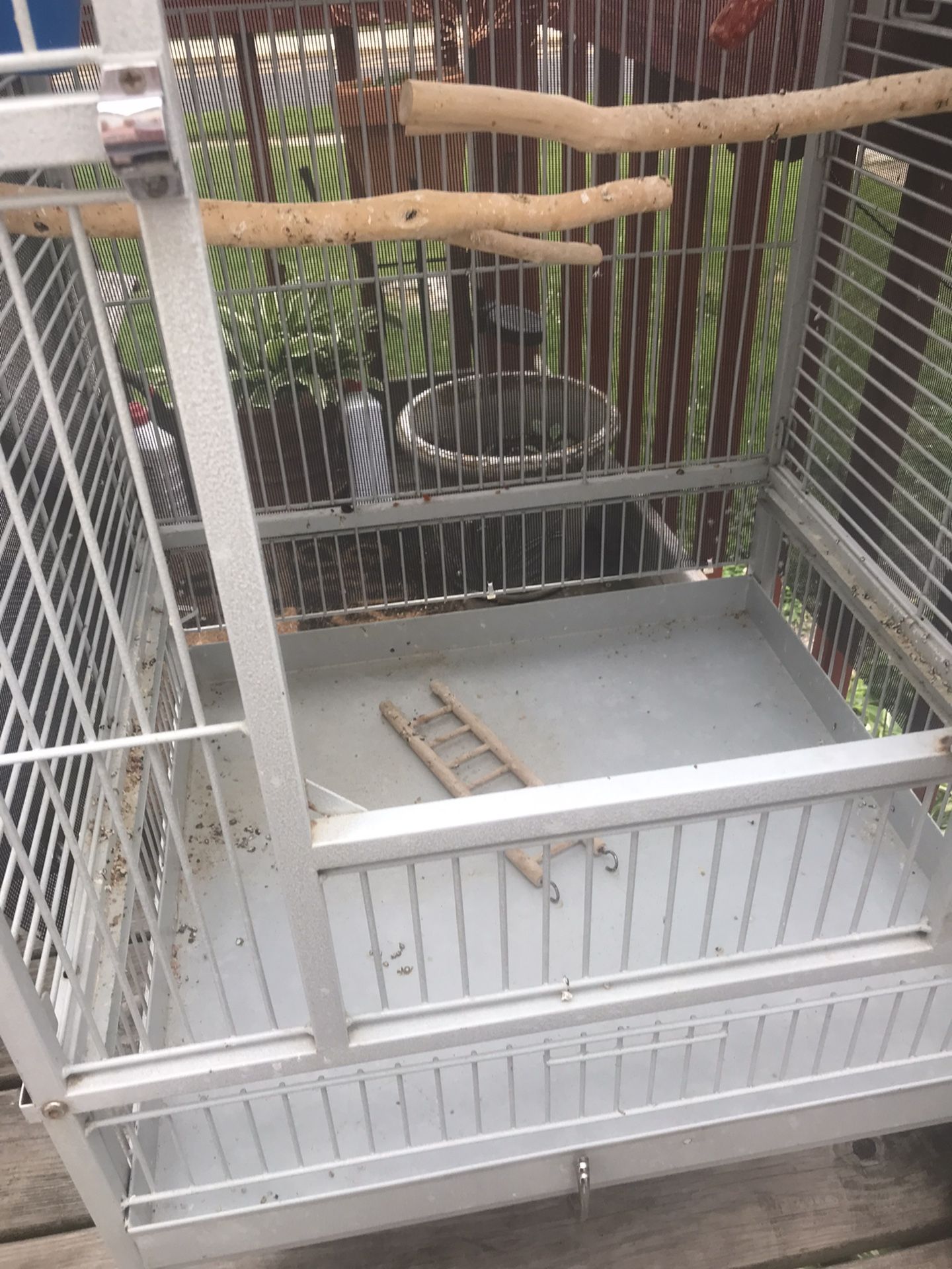Oversized Bird Cage With Few Accessories/4 Parakeets , 2 Medium Birds