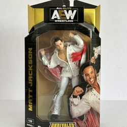 AEW Unrivaled Series 1 Matt Jackson 