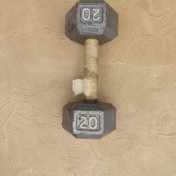 20 LB Dumbbell