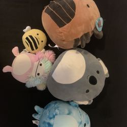Lot Of Squishmello Plushies Must Go!