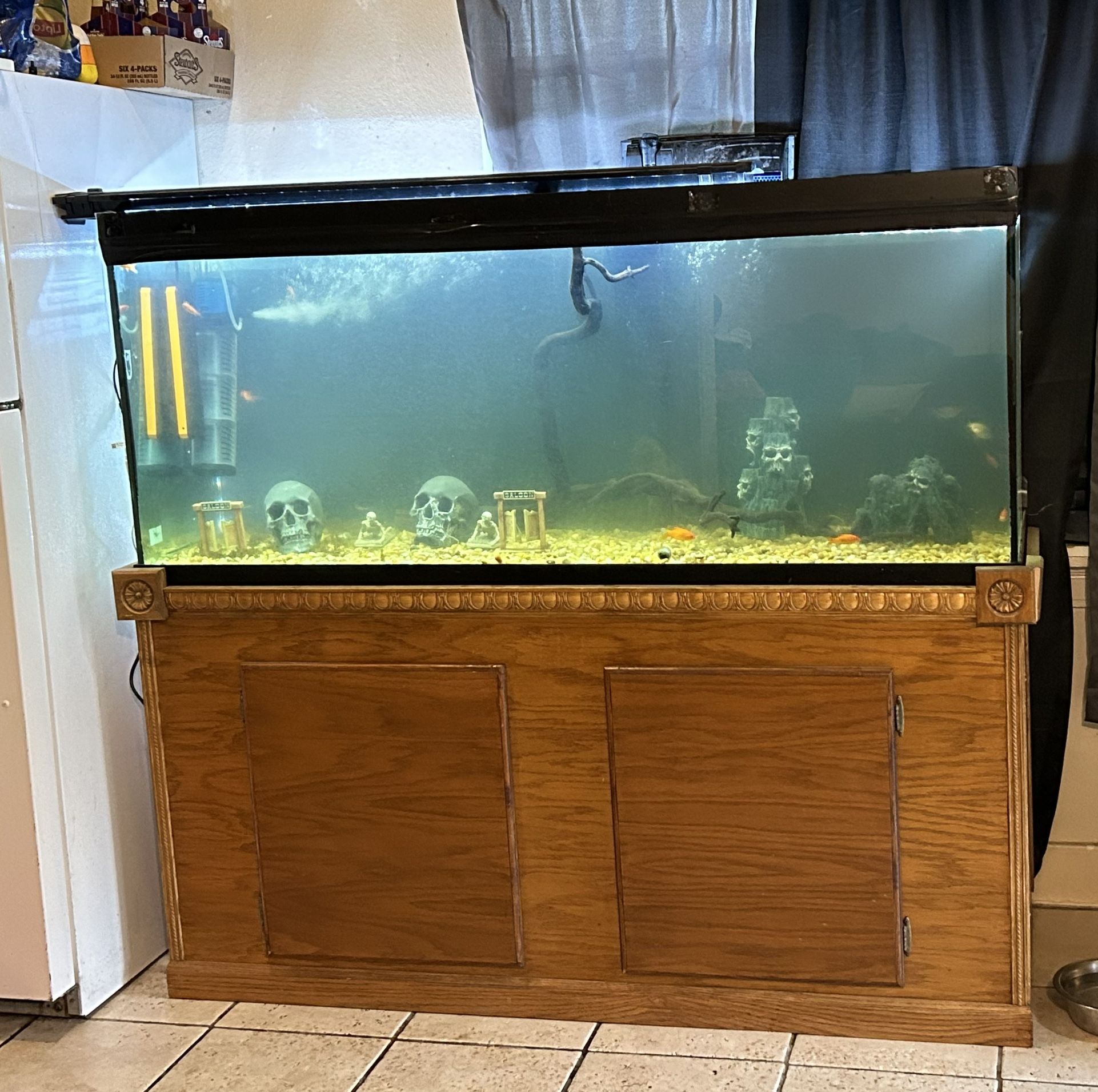 155 Gallon Reptile/aquarium Tank