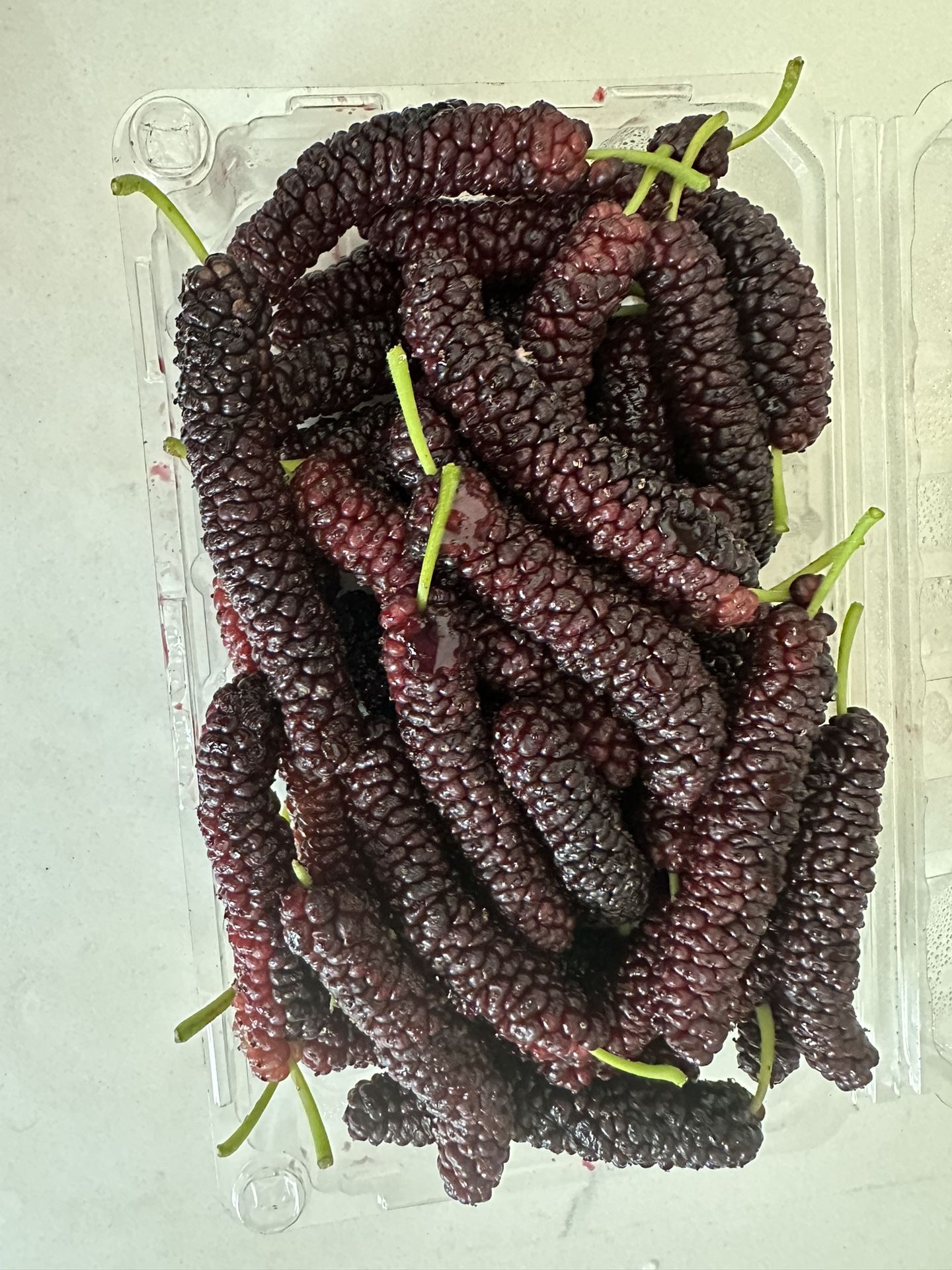 Mulberries For Sale 