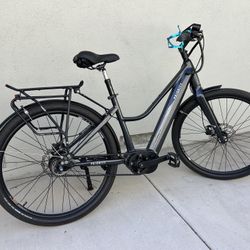 Priority Current E-bike-Small Frame