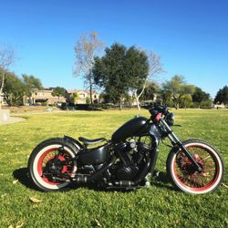 Custom Bobber
