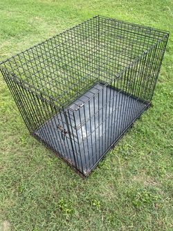 Large dog kennel
