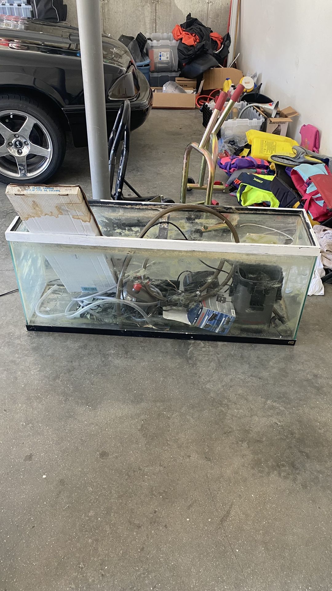 50 Gallon Aquarium With Extras