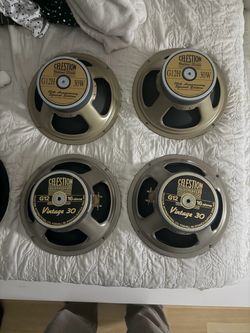 Guitar/Bass Speakers