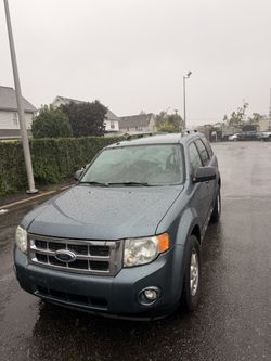 2010 Ford Escape XLT