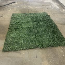 Greenery Wall