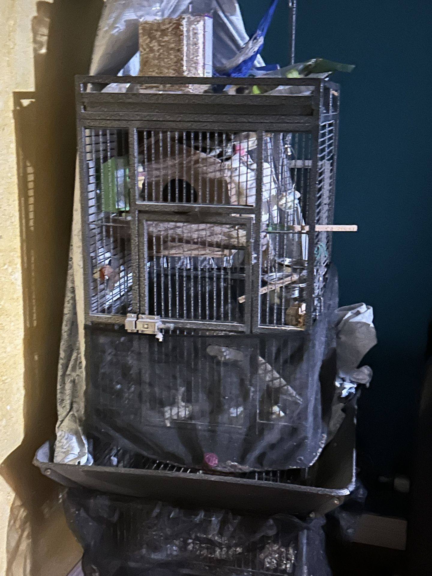 Cage