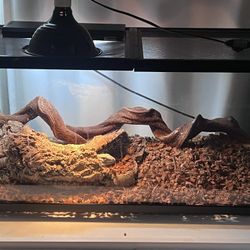 Reptile Enclosure 36 By 17 1/2 