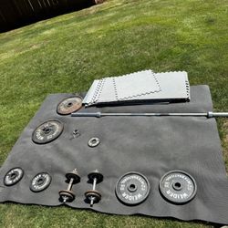 Workout Weights