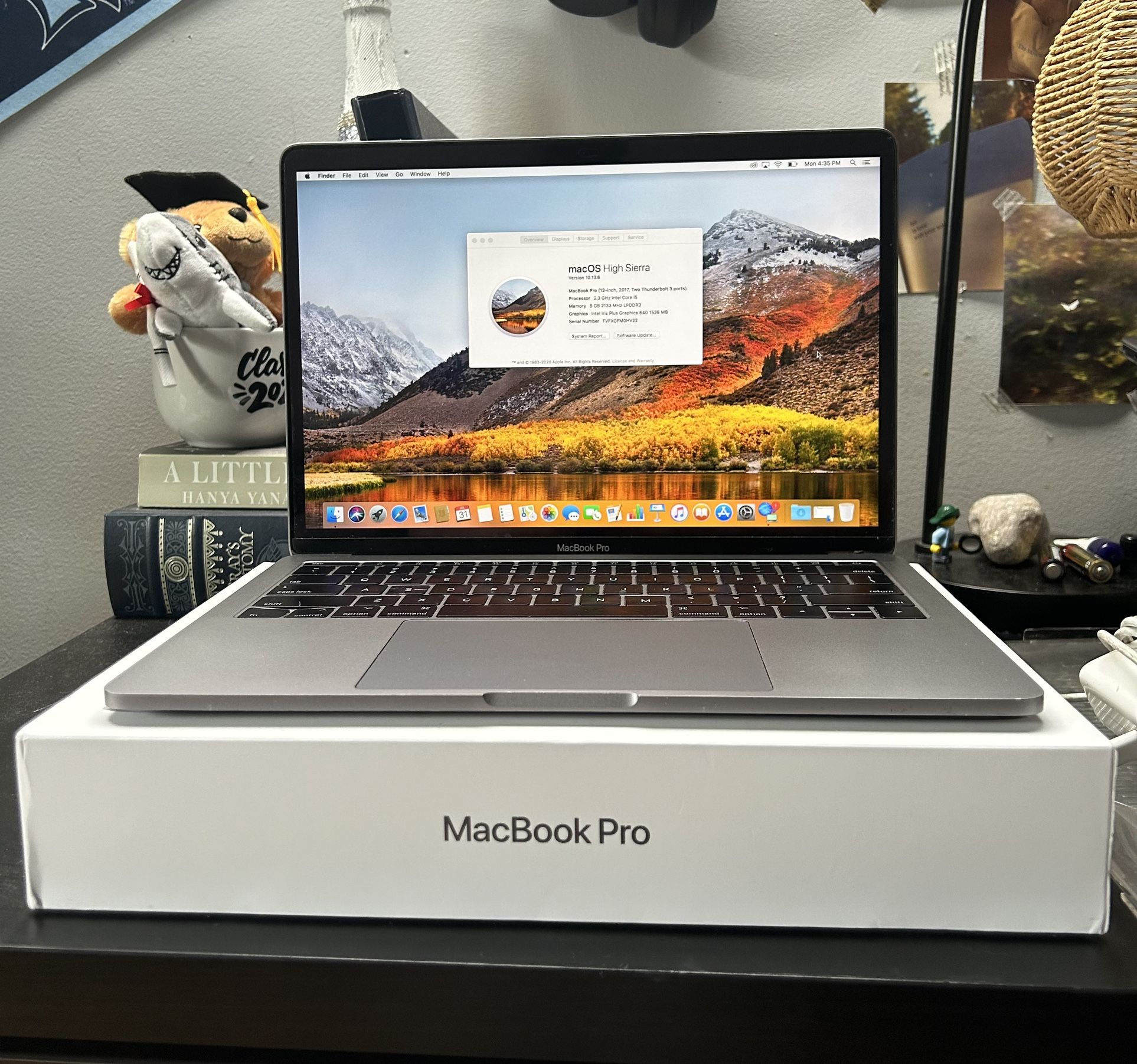 Macbook Pro (13-inch, 2017 Model) for Sale in Garden City P, NY