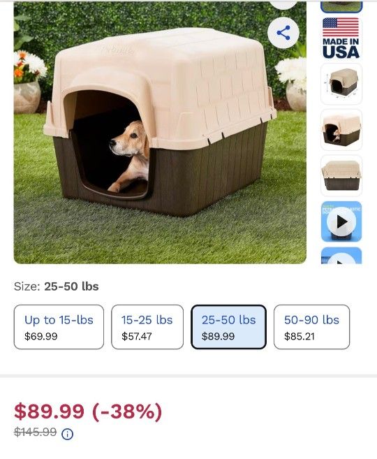 Dog House