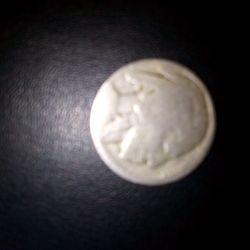 Buffalo Nickel