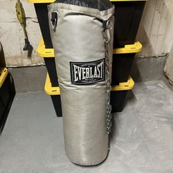 Everlast Punching Bag