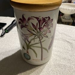 Mexican Lylis Amaryllus Reginale England 