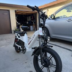 Wallke H7 AWD Dual Motor 48v 60ah