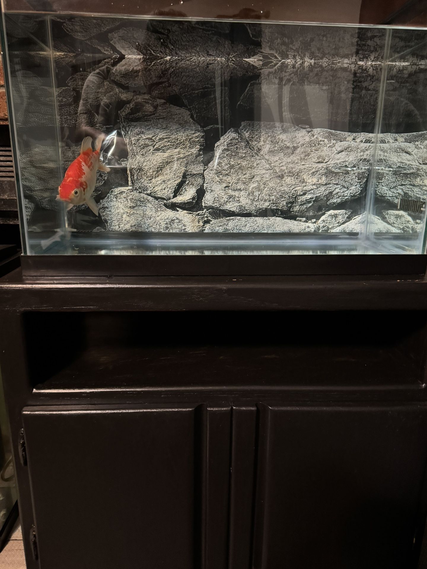 Fish Tank
