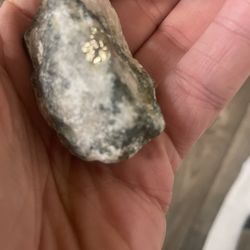 Alaskan Gold On White Quartz 89.0 Grams With Gold Nugget. From Gold mine in Alaska from 2007.