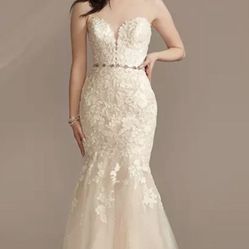 Brand New David’s bridal Dress. 