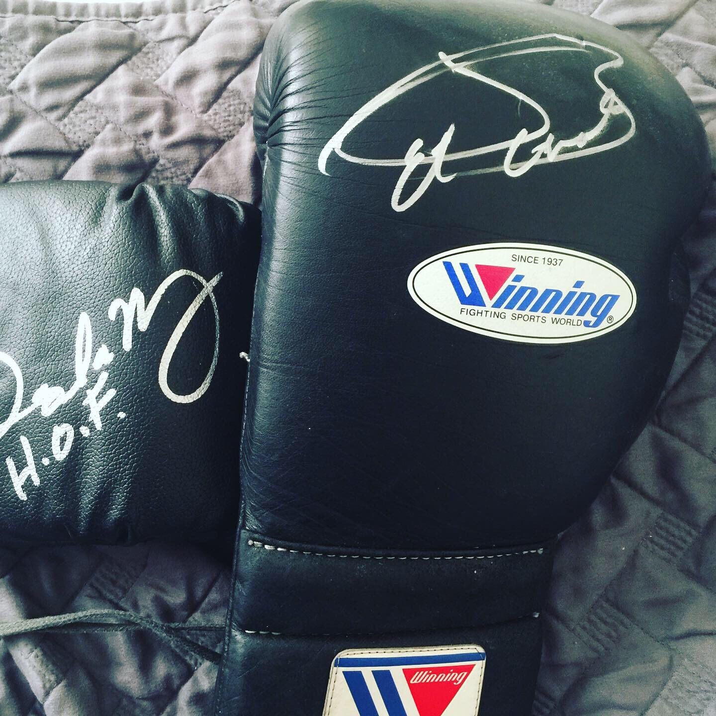 Saul Canelo Alvarez and Oscar De La Hoya 🥊 Boxing gloves