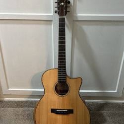 Firefly Acoustic Electric Guitar 