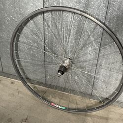 Torelli Master Rear 700c Clincher Vintage Road Bike Wheel 32h Laced To A Shimano 600 Hub