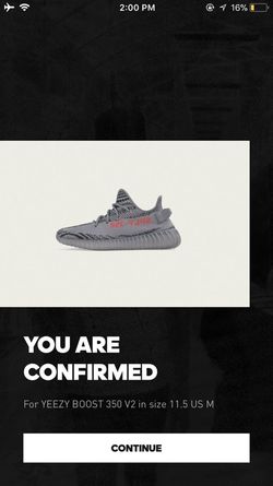 Adidas yeezy beluga 2.0