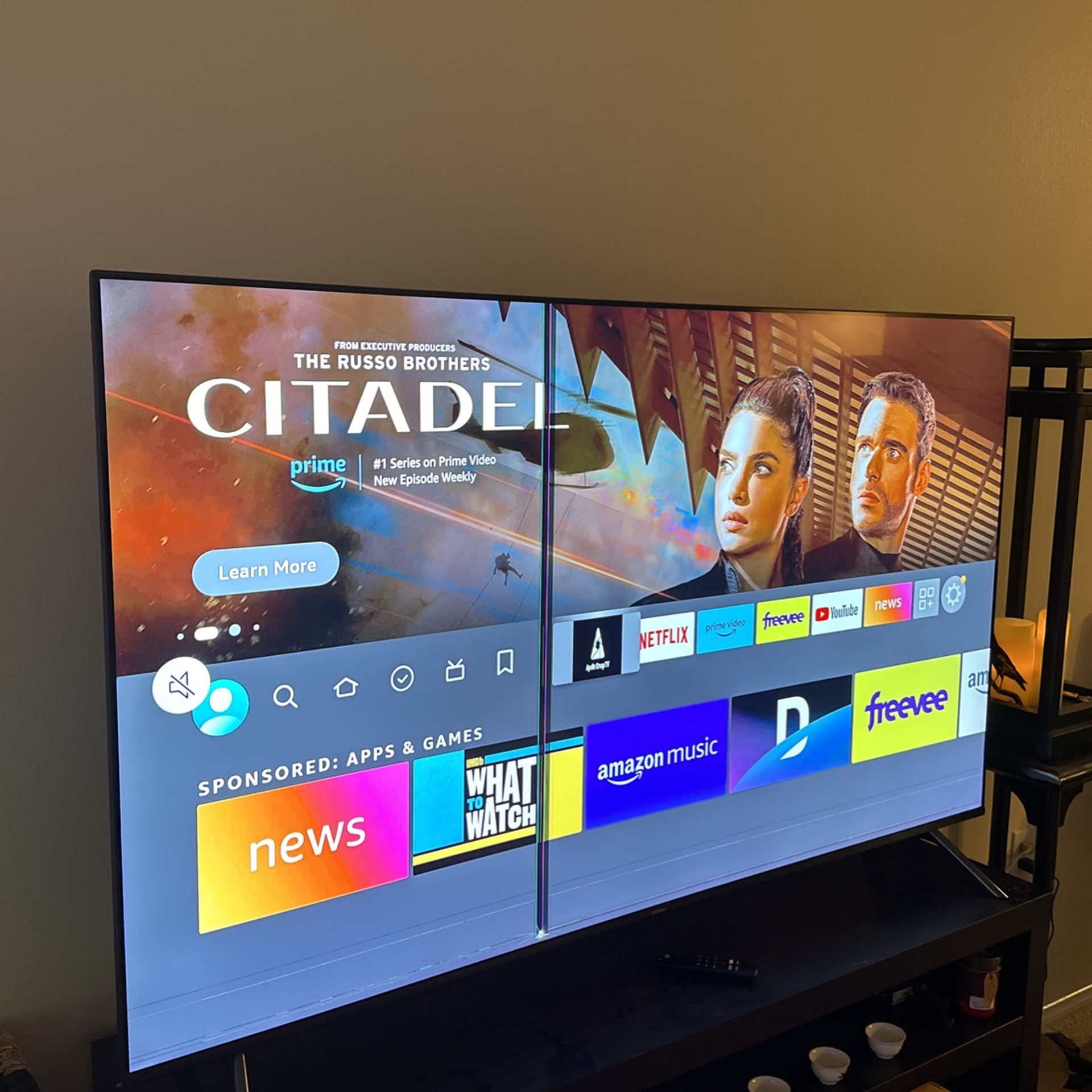 65’ Samsung Screen Damaged