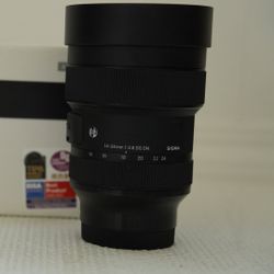 Sigma 14-24mm F2.8 DG DN Art Lens 