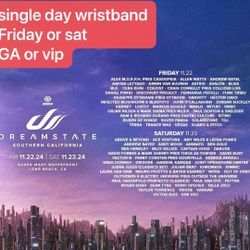 2024 dreamstate  single day wristband